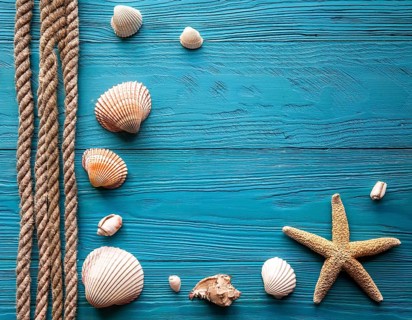 Frame of rope, seashells and starfishes is lying on a wooden textured blue background, AI generated