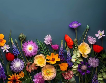 A variety of colorful wildflowers flourish on a hillside against a blurred mountainous backdrop.