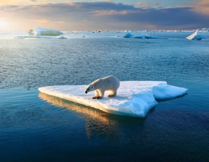 Polar bear is perched on a floating piece of iceberg, surrounded by vast blue waters and under a