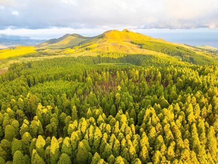Hills, Forest and Mountains at Sunset. Azores, Sao Miguel Island, Portugal. Aerial View
