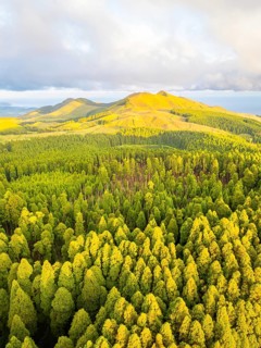 Hills, Forest and Mountains at Sunset. Azores, Sao Miguel Island, Portugal. Aerial View