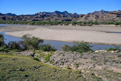 Blooming landscape at the Oranje River, near Oranjemund, Karas Region, Namibia