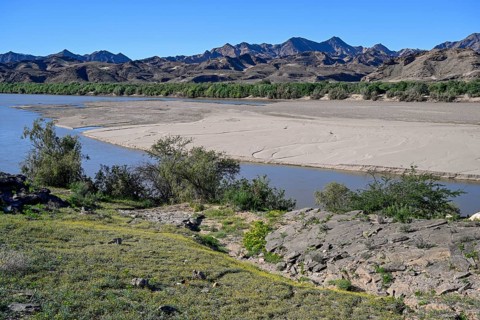 Blooming landscape at the Oranje River, near Oranjemund, Karas Region, Namibia