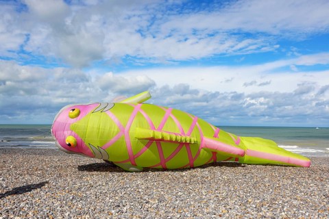 Kite festival on the beach, international kite festival, kite in the shape of a fish lies on the