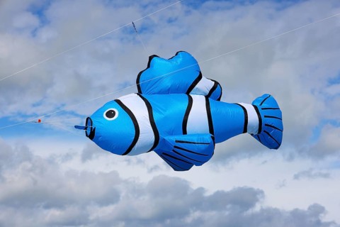 Kite festival, international kite festival, kite in the shape of a fish, Dieppe, Normandy, France