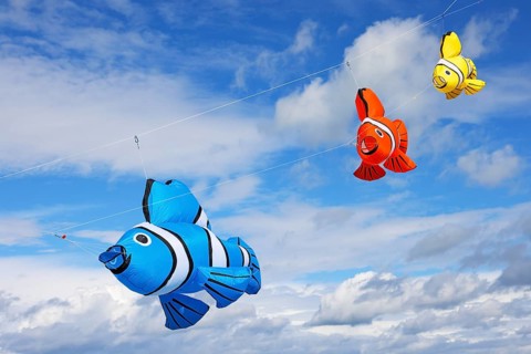 Kite festival, international kite festival, kites in the shape of fish, Dieppe, Normandy, France