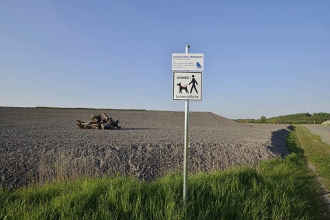 Man-made habitat for the natterjack toad (Bufo calamita, Epidalea calamita) on the Großes Holz slag