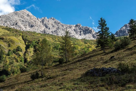 Großer Wilder, Oytal, near Oberstdorf, Oberallgäu, Allgäu, Bavaria, Germany