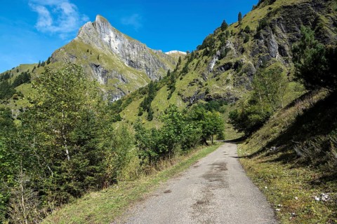 Driveway, hiking trail to Käser Alpe, behind Himmelhorn, Oytal, near Oberstdorf, Oberallgäu,