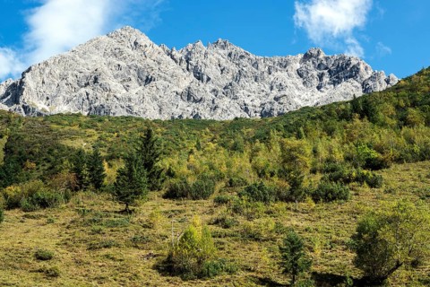 Großer Wilder, Oytal, near Oberstdorf, Oberallgäu, Allgäu, Bavaria, Germany
