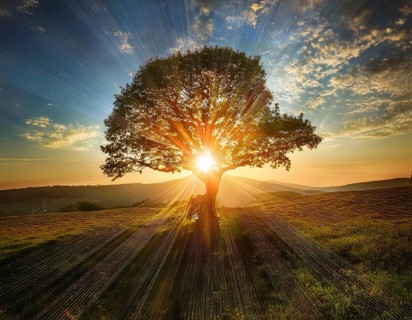 An awe-inspiring scene showcasing the sun's rays bursting through a solitary tree, illuminating a
