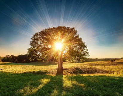An awe-inspiring scene showcasing the sun's rays bursting through a solitary tree, illuminating a