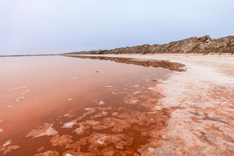 Pink salt flats with mineral-rich water in Sandwich Harbour, Namib-Naukluft National Park, Namibia.