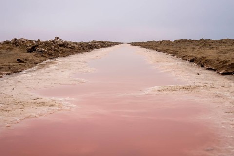 Pink salt flats with mineral-rich water in Sandwich Harbour, Namib-Naukluft National Park, Namibia.