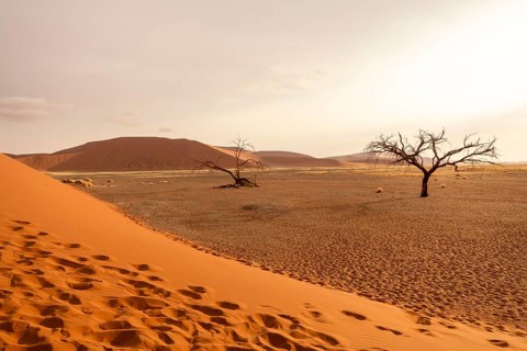 Big Daddy Dune & Deadvlei, Namibia – Towering red dune above Deadvlei's ancient dead camelthorn
