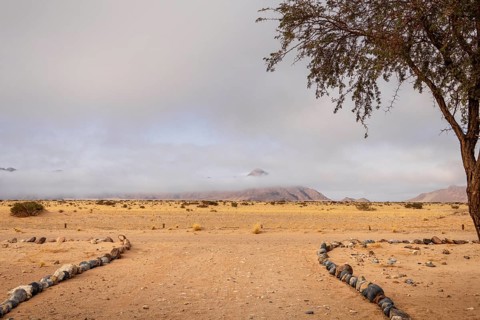 Sossusvlei, Namibia – A surreal landscape of dunes and resilient desert plants