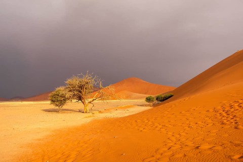 Big Daddy Dune & Deadvlei, Namibia – Towering red dune above Deadvlei's ancient dead camelthorn