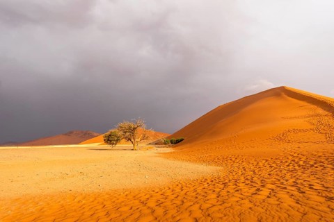 Big Daddy Dune & Deadvlei, Namibia – Towering red dune above Deadvlei's ancient dead camelthorn