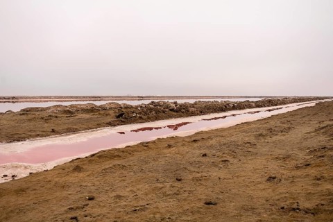 Pink salt flats with mineral-rich water in Sandwich Harbour, Namib-Naukluft National Park, Namibia.