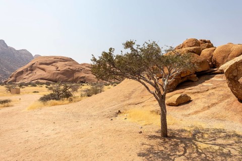 Granite peaks and rugged desert landscape at Spitzkoppe Community Campsite, Namibia. Golden