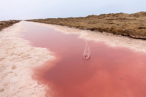 Pink salt flats with mineral-rich water in Sandwich Harbour, Namib-Naukluft National Park, Namibia.