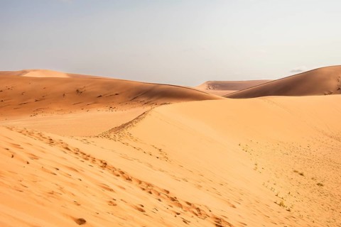 Sossusvlei in Namibia is a desert wonder, famous for its giant red dunes, glowing at sunrise and