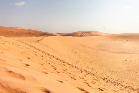 Sossusvlei in Namibia is a desert wonder, famous for its giant red dunes, glowing at sunrise and