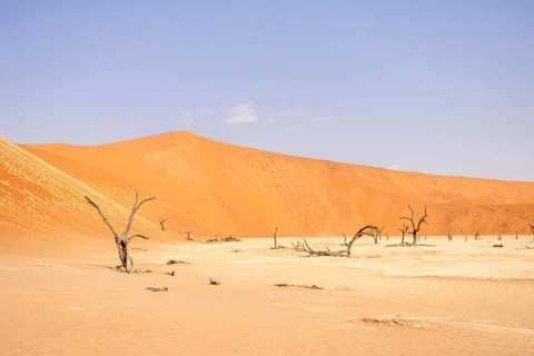 Big Daddy Dune & Deadvlei, Namibia – Towering red dune above Deadvlei's ancient dead camelthorn