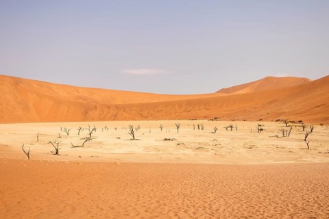 Big Daddy Dune & Deadvlei, Namibia – Towering red dune above Deadvlei's ancient dead camelthorn