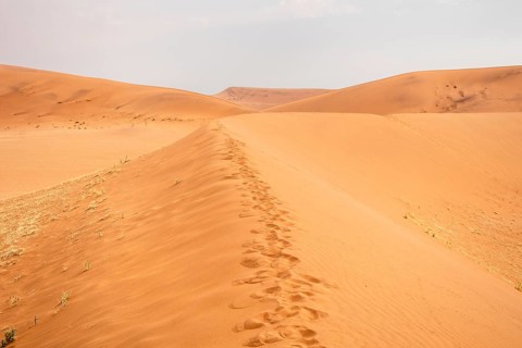 Sossusvlei in Namibia is a desert wonder, famous for its giant red dunes, glowing at sunrise and