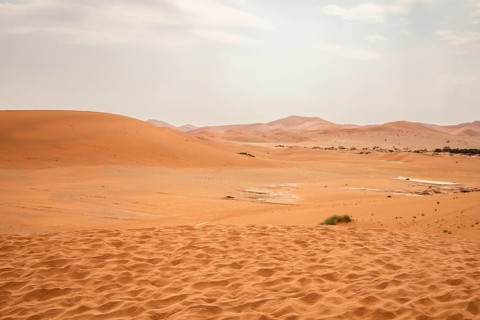 Sossusvlei in Namibia is a desert wonder, famous for its giant red dunes, glowing at sunrise and