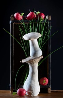 oyster mushrooms with radishes and chives on a wooden crate against a dark background