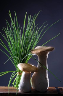 oyster mushrooms with chives against a dark background