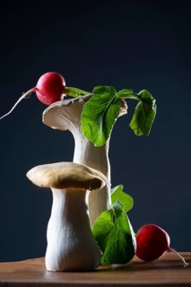 Lateral shoots with radishes against a dark background