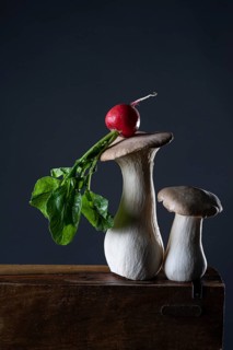 oyster mushrooms with radishes against a dark background