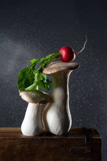 oyster mushrooms with radishes on wooden box, with water droplets