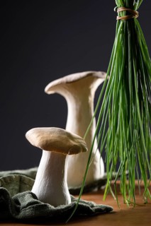 oyster mushrooms with chives against a dark background