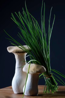 oyster mushrooms with chives against a dark background