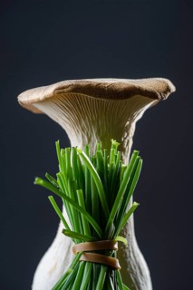 Seitling with chives against a dark background
