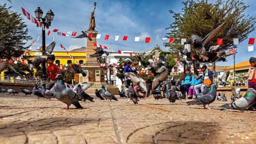 Pigeons fly over a busy square with a monument and garlands under a blue sky, The city pigeons of