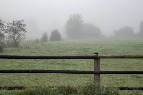 Fog covering a green farming field with a rustic wooden fence in the foreground