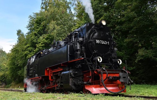 Steam locomotive of the Harz narrow gauge railway, Saxony-Anhalt, Germany