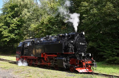 Steam locomotive of the Harz narrow gauge railway, Saxony-Anhalt, Germany