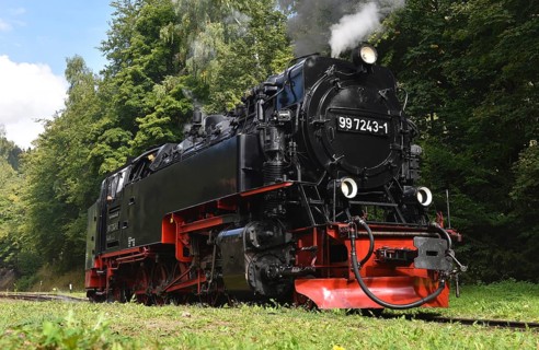 Steam locomotive of the Harz narrow gauge railway, Saxony-Anhalt, Germany