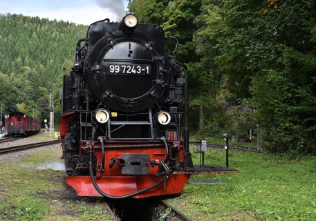 Steam locomotive of the Harz narrow gauge railway, Saxony-Anhalt, Germany