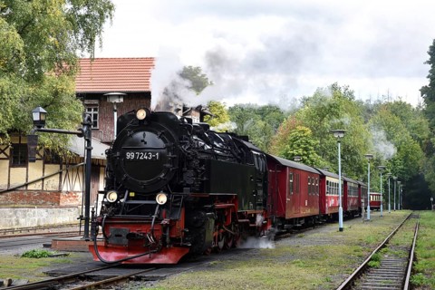 Rail bus, railcar T1 and steam locomotive of the Harz narrow-gauge railway at Alexisbad station,