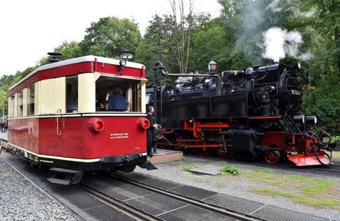 Rail bus, railcar T1 and steam locomotive of the Harz narrow-gauge railway at Alexisbad station,
