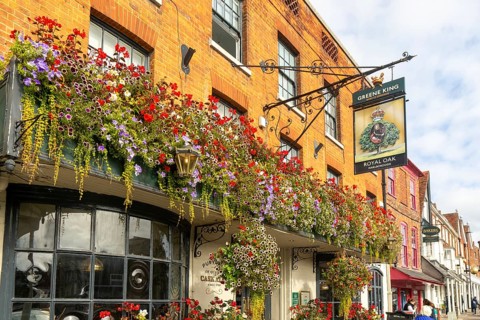 Colourful flowers in large window box and hanging baskets, Royal Oak public house, Marlborough,
