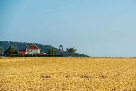 Summer landscape with a wheat field, a house with a red roof and a tower on a hill in the