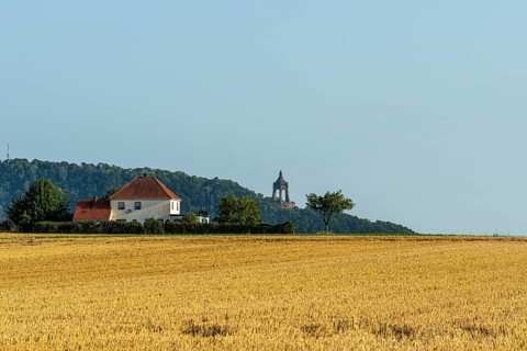Summer landscape with a wheat field, a house with a red roof and a tower on a hill in the